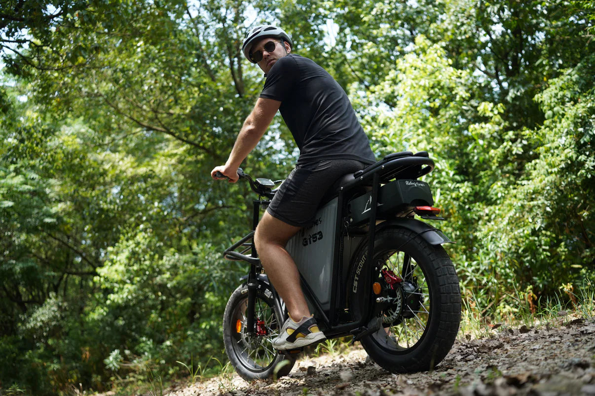 Electric Bicycle Riding Times GT53 Cargo 2000w 24ah 50km/h