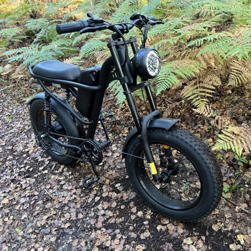 Electric Bicycle Riding Times Z8s