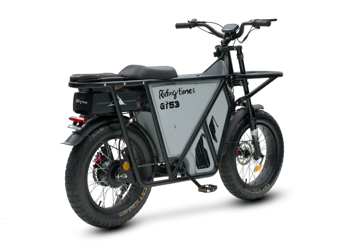 Electric Bicycle Riding Times GT53 Cargo 2000w 24ah 50km/h