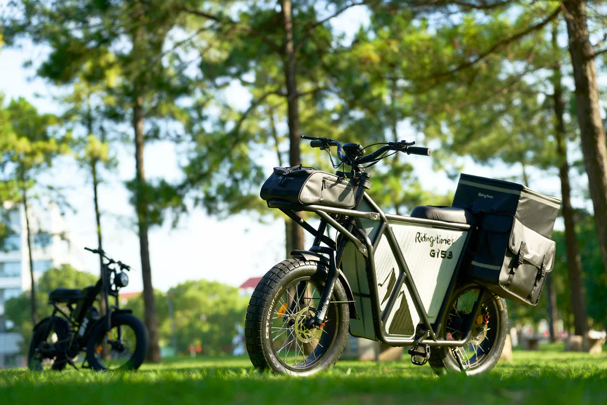 Electric Bicycle Riding Times GT53 Cargo 2000w 24ah 50km/h