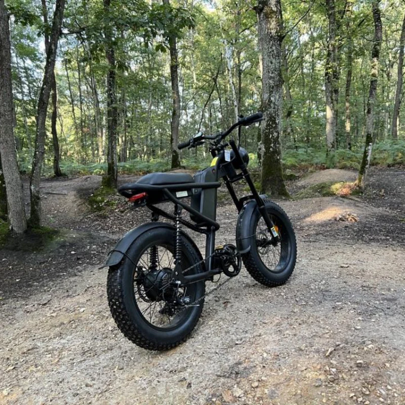 Electric Bicycle Riding Times Z8s